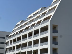 IMG_1950